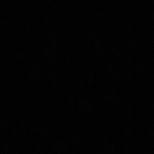 Meet your Posher, Ryleigh